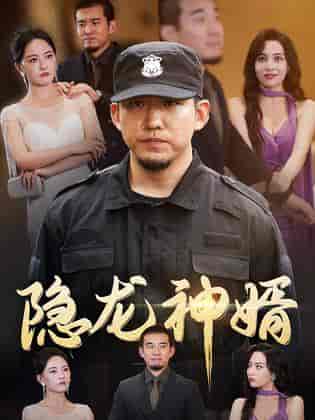 隐龙神婿（81集） - 海之城短剧