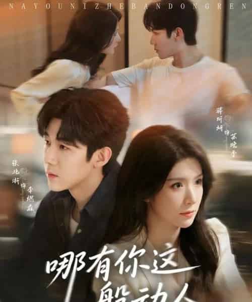 哪有你这般动人（70集全）张北淅＆蒋昕妍-海之城短剧项目