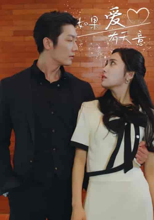 如果爱有天意（80集）刘昱辰＆张璇 - 海之城短剧