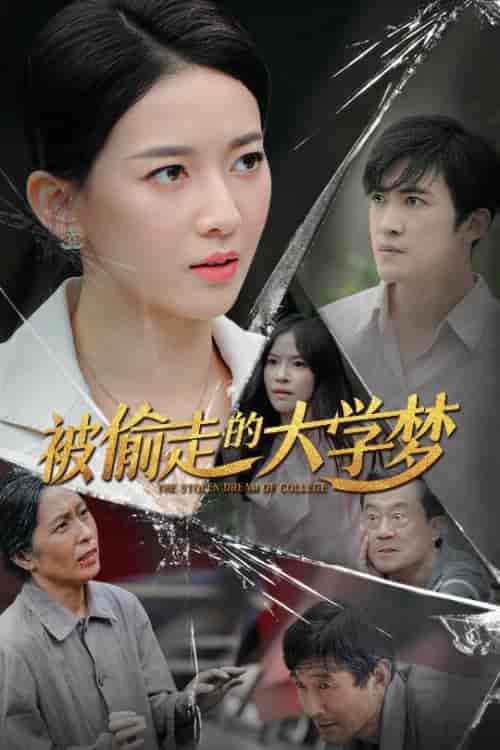 被偷走的大学梦 被偷走的大学梦