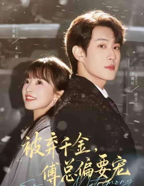 被弃千金傅总偏要宠（62集全）李明轩＆贾馨雨-海之城短剧项目