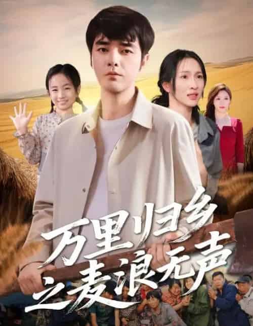 万里归乡之麦浪无声（61集全）朱碧漪＆董星辰 - 海之城短剧