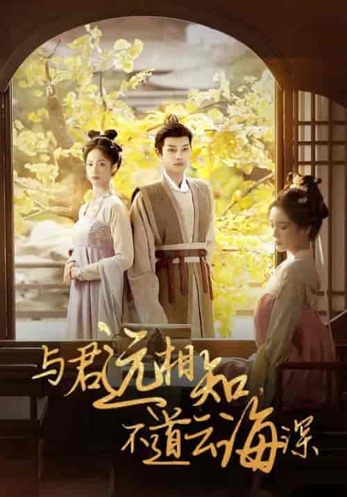 与君远相知，不道云海深（30集全）顾云峥＆沈凝 - 海之城短剧