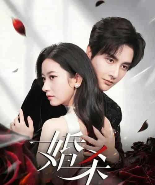 婚杀（60集全）林潇＆张张（张玉娇）-海之城短剧项目