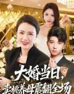 大婚当日，卖桃养母震翻全场（70集全）唐依迪＆卢静-海之城短剧项目