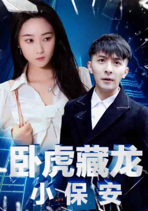 卧虎藏龙小保安（65集）林不凡＆安雪琪 - 海之城短剧