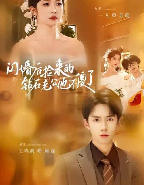 闪婚后捡来的钻石老公他不傻了（85集全）王鸣鹤＆一飞-海之城短剧项目