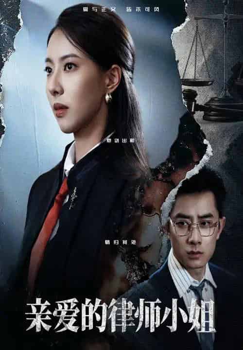 亲爱的律师小姐 亲爱的律师小姐