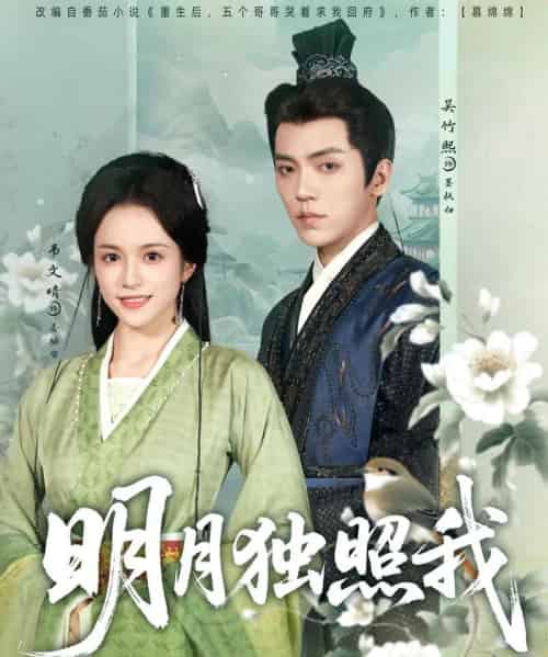 明月独照我（80集）吴竹熙＆韦文晴-海之城短剧项目