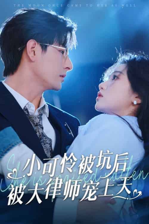 小可怜被坑后被大律师宠上天（77集全）李豪＆岳雨婷 - 海之城短剧