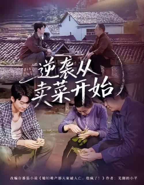 逆袭从卖菜开始（72集全）安嘉欣＆刘子轩-海之城短剧项目
