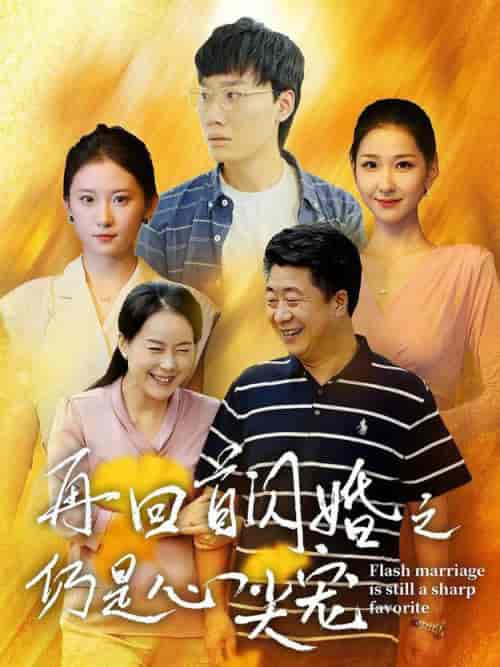 再回首闪婚之仍是心尖宠（36集全） - 海之城短剧