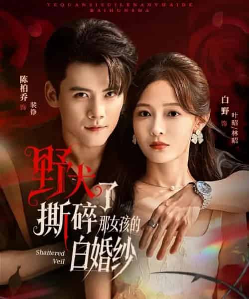 野犬撕碎了那女孩的白婚纱（78集全）陈刚＆白野-海之城短剧项目