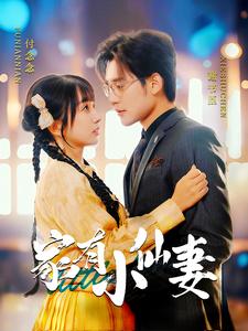家有小仙妻（101集全）张力壬＆象韵洁 - 海之城短剧