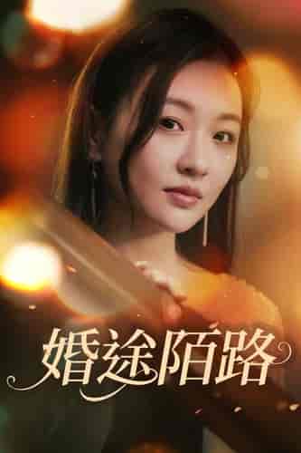 婚途陌路（15集） - 海之城短剧