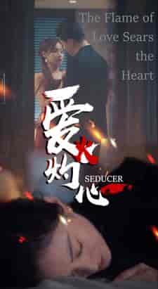 爱火灼心（99集） - 海之城短剧