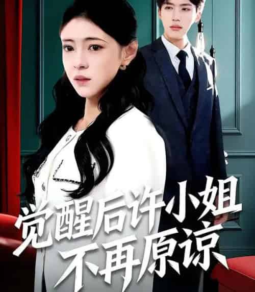 觉醒后许小姐不再原谅（102集全）何玘薇＆龙琛-海之城短剧项目