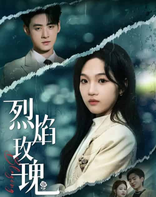 烈焰玫瑰（37集全）王珊珊＆武帅康-海之城短剧项目