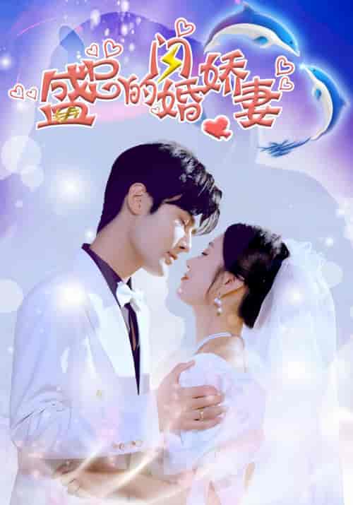 盛总的闪婚娇妻 盛总的闪婚娇妻