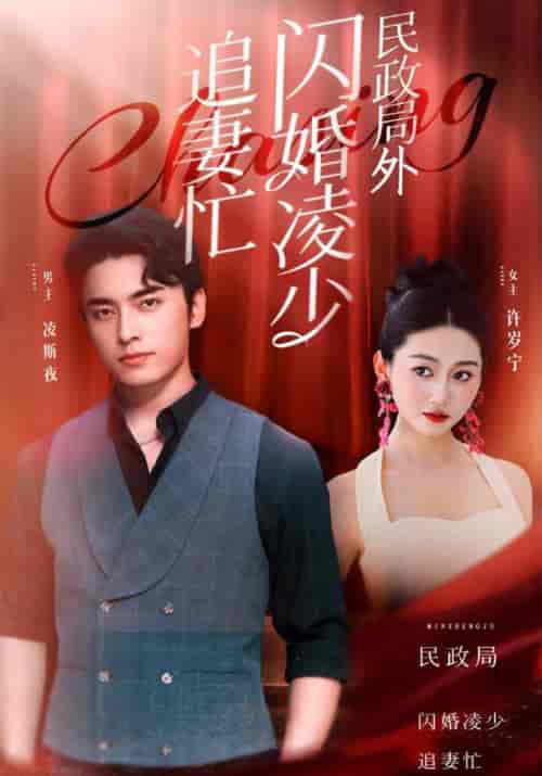 民政局外闪婚凌少追妻忙（94集全）凌斯夜＆许岁宁 - 海之城短剧
