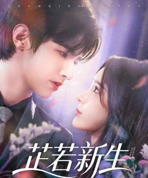 芷若新生（83集）苏和＆肖茜文-海之城短剧项目