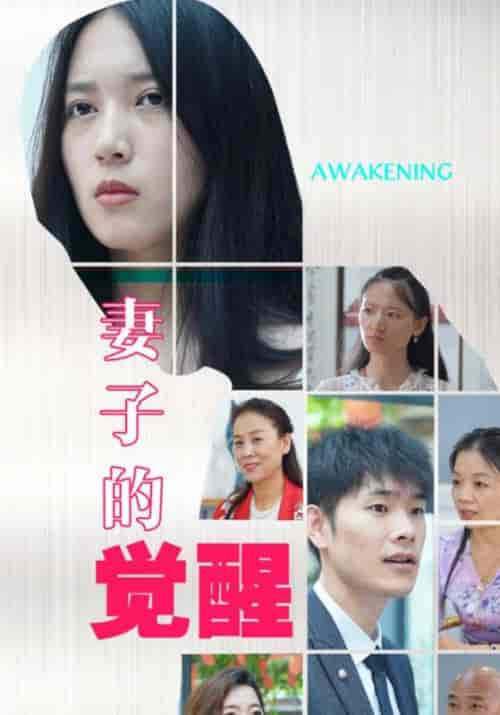 妻子的觉醒（118集全）宋振宇＆周楚楚 - 海之城短剧
