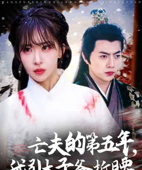亡夫的第五年我引太子爷折腰（54集）房蕾＆张磊 - 海之城短剧