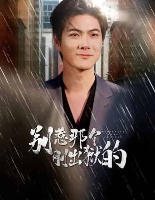 别惹那个刚出狱的（68集全）刘林＆李姿纬＆安欣 - 海之城短剧