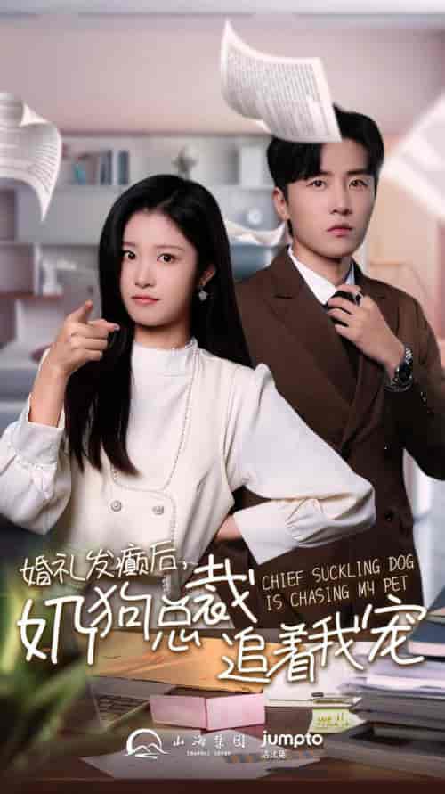 婚礼发癫后奶狗总裁追着我宠（80集全） - 海之城短剧