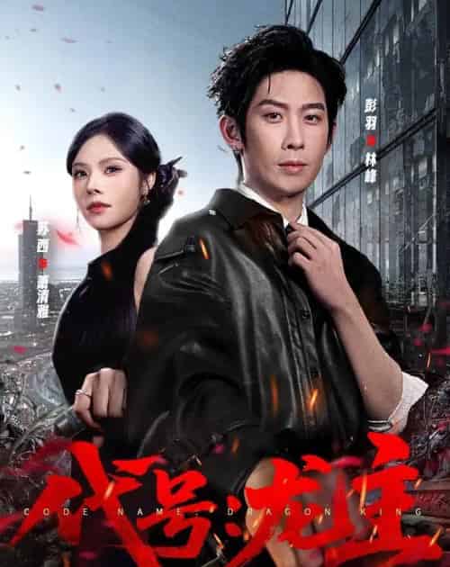 代号：龙主（70集全）彭羽＆苏西-海之城短剧项目