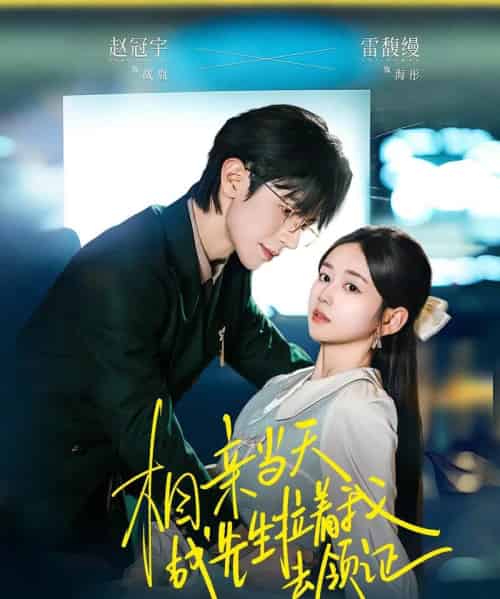 相亲当天战先生拉着我去领证（60集全）赵冠宇＆雷馥缦-海之城短剧项目