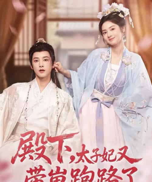 殿下，太子妃又带崽跑路了（70集全）冯俊熙＆刘容榕-海之城短剧项目