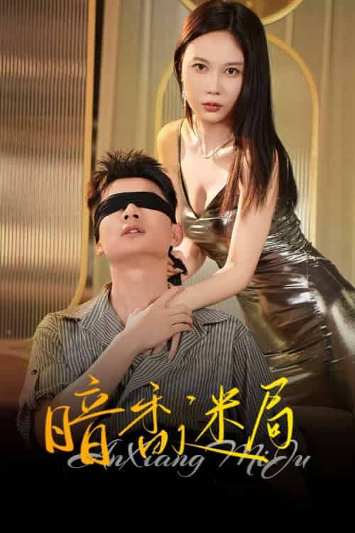 暗香迷局 暗香迷局