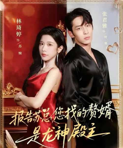 报告苏总，您找的赞婿是龙神殿主（72集全）张君雅＆林琦婷-海之城短剧项目