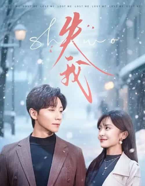 失我（70集全）宋晨＆程琳淼-海之城短剧项目
