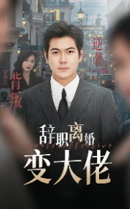 辞职离婚变大佬（30集全） - 海之城短剧