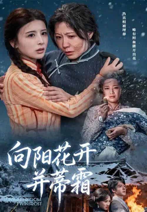 向阳花开并蒂霜（60集全）燕颢元＆李沁霏-海之城短剧项目