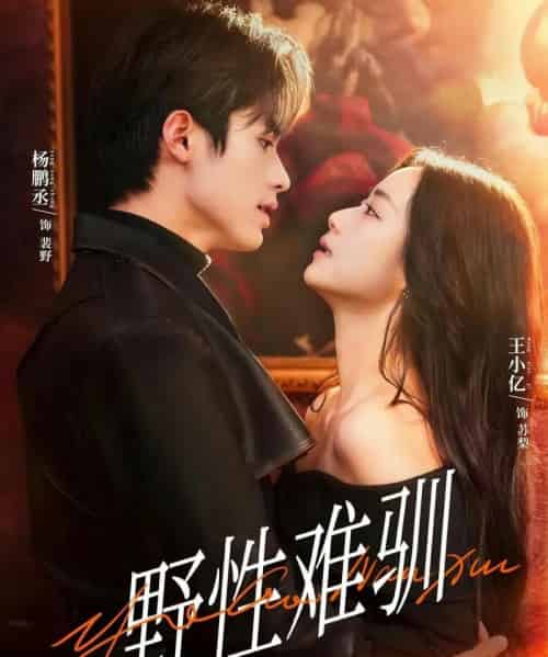 野性难驯＆驯野2（81集全）杨鹏丞＆王小亿＆张旋＆刘宇航＆刘夕语-海之城短剧项目