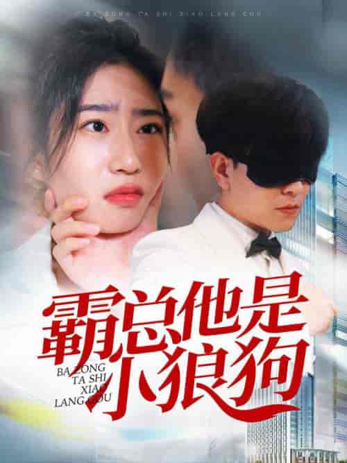 霸总他是小狼狗（31集全） - 海之城短剧