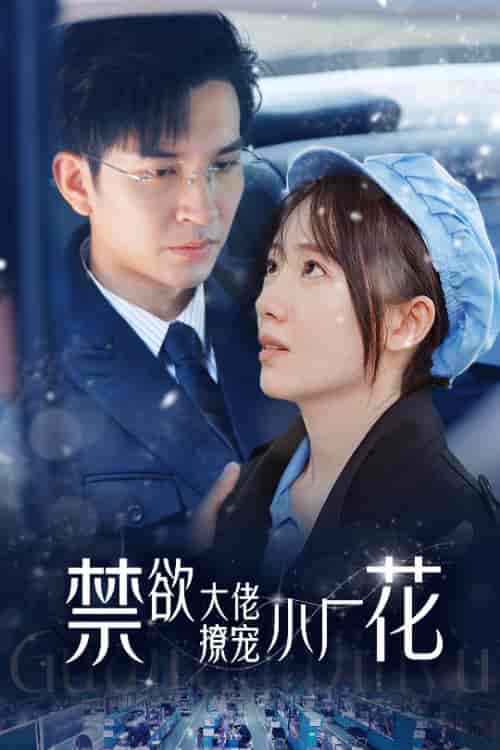 禁欲大佬撩宠小厂花＆小可怜靠生子宠冠电子厂（54集） - 海之城短剧