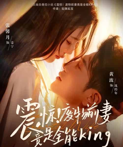 震惊！废物前妻竟是全能King（80集全）黄波＆张馨月-海之城短剧项目