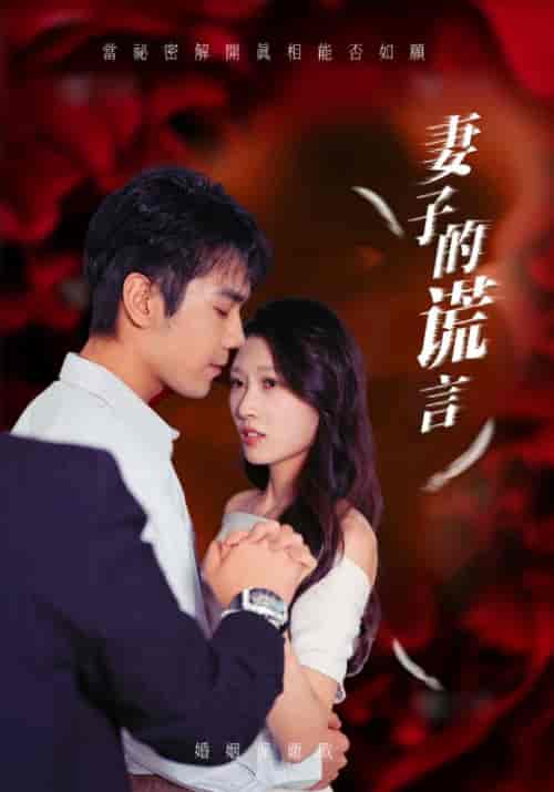 妻子的谎言（41集全）邵宇＆林诗诗 - 海之城短剧