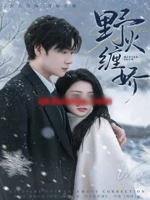 野火缠娇（66集全）胡金池＆刘苗苗-海之城短剧项目