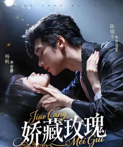 娇藏玫瑰（72集）杨帆＆陈瑞丰-海之城短剧项目