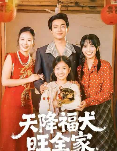 天降福犬旺全家（30集全）-海之城短剧项目