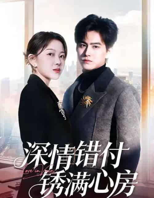 深情错付锈满心房（60集全）苏倚＆宗沐一-海之城短剧项目