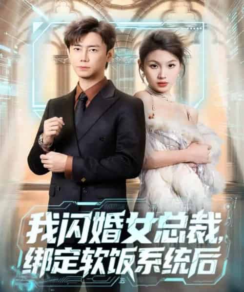 我闪婚女总裁绑定软饭系统后（73集全）李咏昊＆黄盈-海之城短剧项目