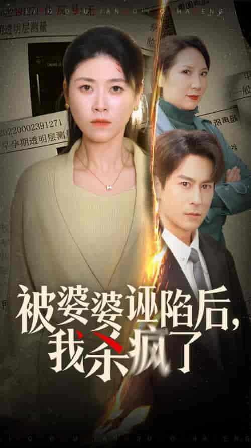 被婆婆诬陷后我杀疯了（30集全）诸玲颖 - 海之城短剧