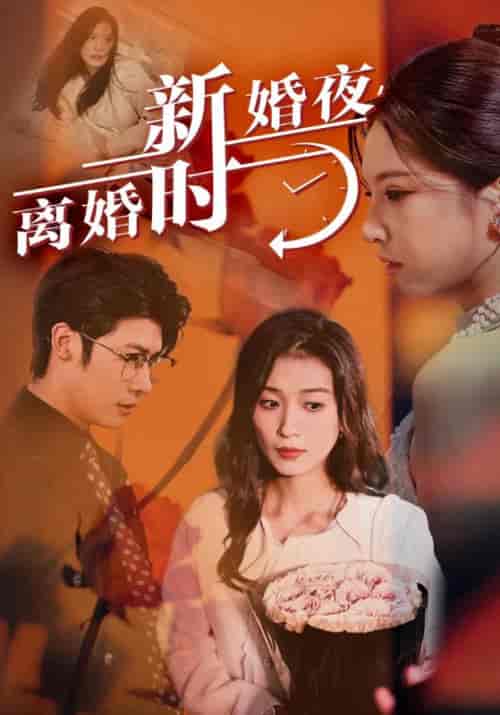 新婚夜，离婚时（35集全） - 海之城短剧