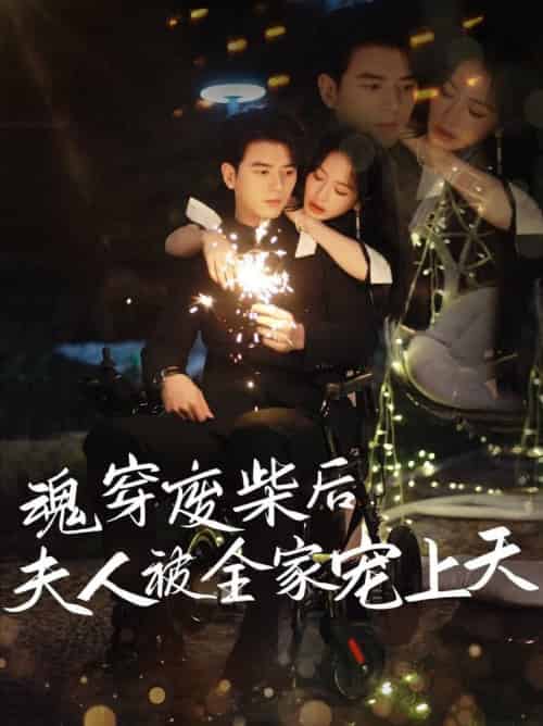 魂穿废材后夫人被全家宠上天（79集全）左铭＆伍姣 - 海之城短剧